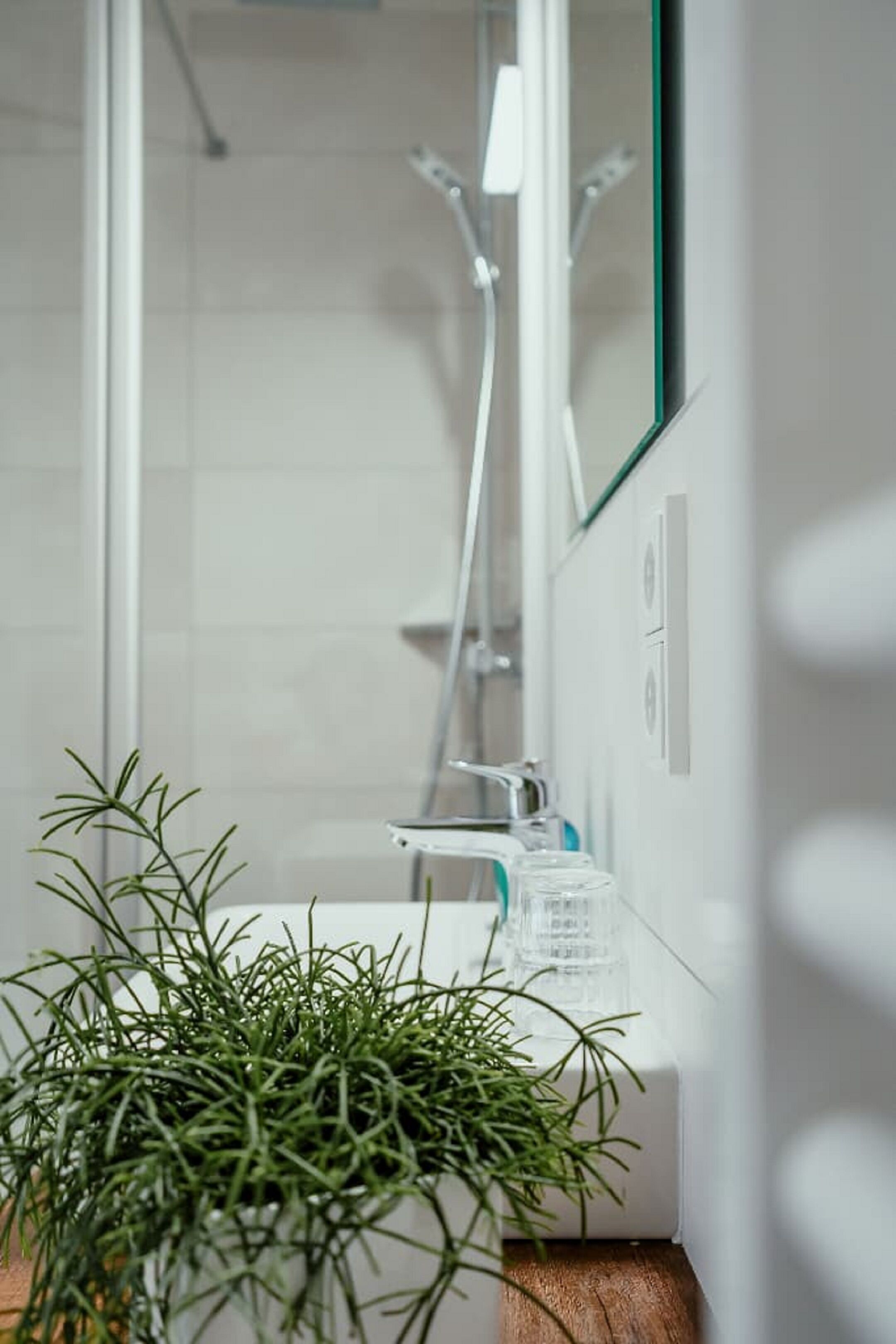 Habitación individual | Baño | Regadera, regadera tipo lluvia, toallas, papel de baño 