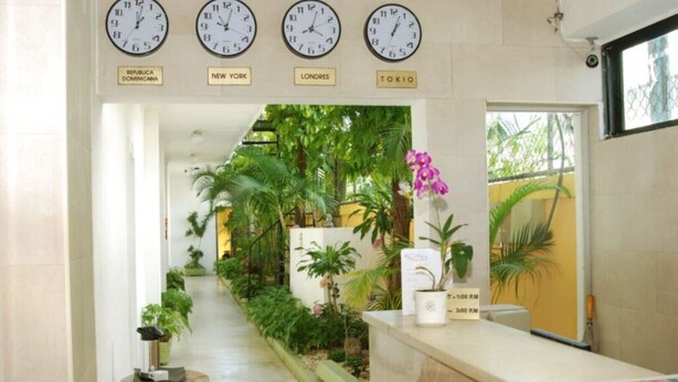 A reception area with clocks displaying times from New York, London, and Tokyo, a reception desk, and a lush indoor garden.