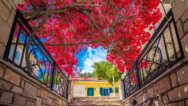 A stone staircase with metal railings, leading to a building with a yellow facade and green shutters. - Avrochares Villa (Ζάκυνθος)