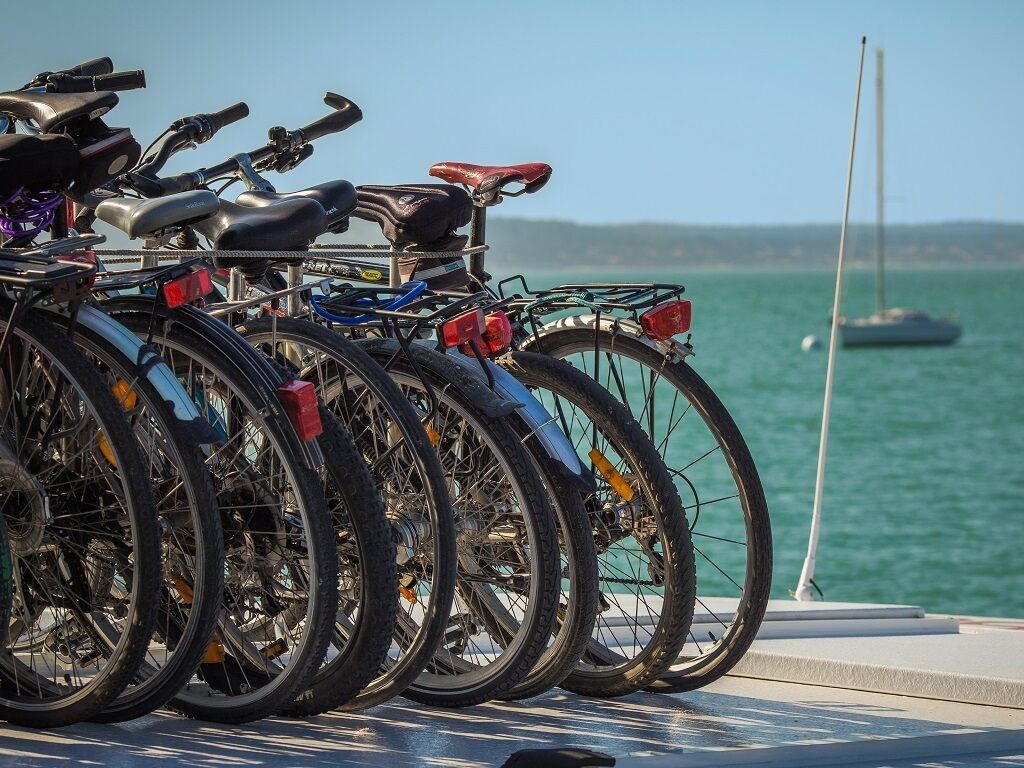A row of bicycles parked by a body of water with a sailboat in the background.