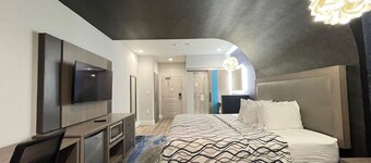 Palace Inn Blue Houston East Beltway 8