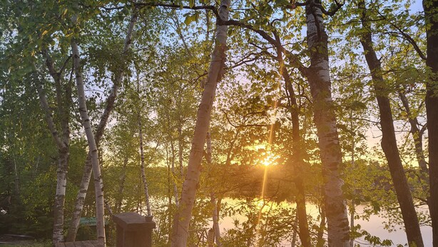 A wooden picnic table and bench near a body of water, surrounded by trees.