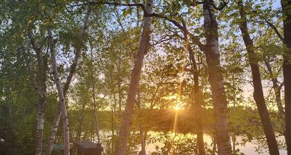 The Blue Loon Cabin and pontoon in Northern wi