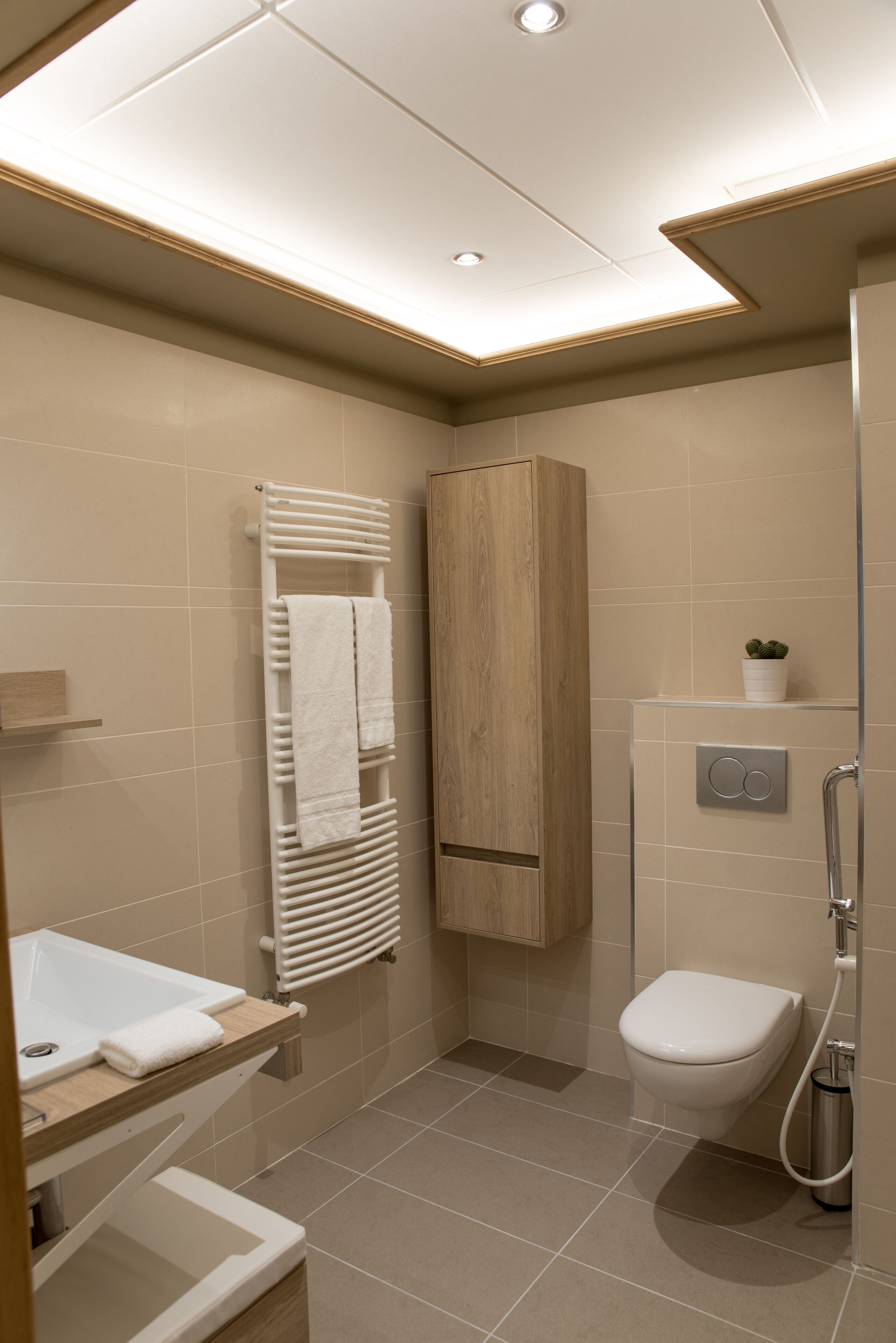 A modern bathroom with a built-in shower, a toilet, and a vanity with a sink.