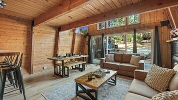 TV connectée, cheminée, jeux vidéo, lecteur de DVD