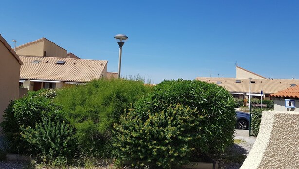 A residential area with houses, a street lamp, and a large bush.