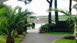 A paved pathway leading to a house with a sloped roof, surrounded by lush greenery and palm trees.