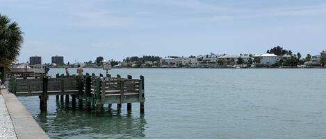 Vista al agua con un muelle de madera que se adentra en aguas tranquilas, rodeado de edificios y palmeras.