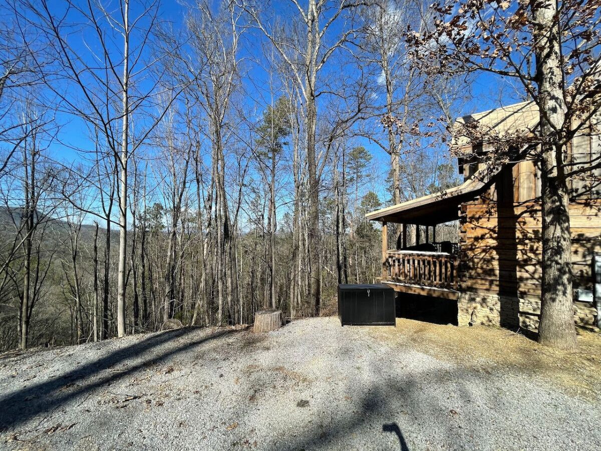 A cabin with a gravel driveway, surrounded by tall trees and a clear blue sky.
