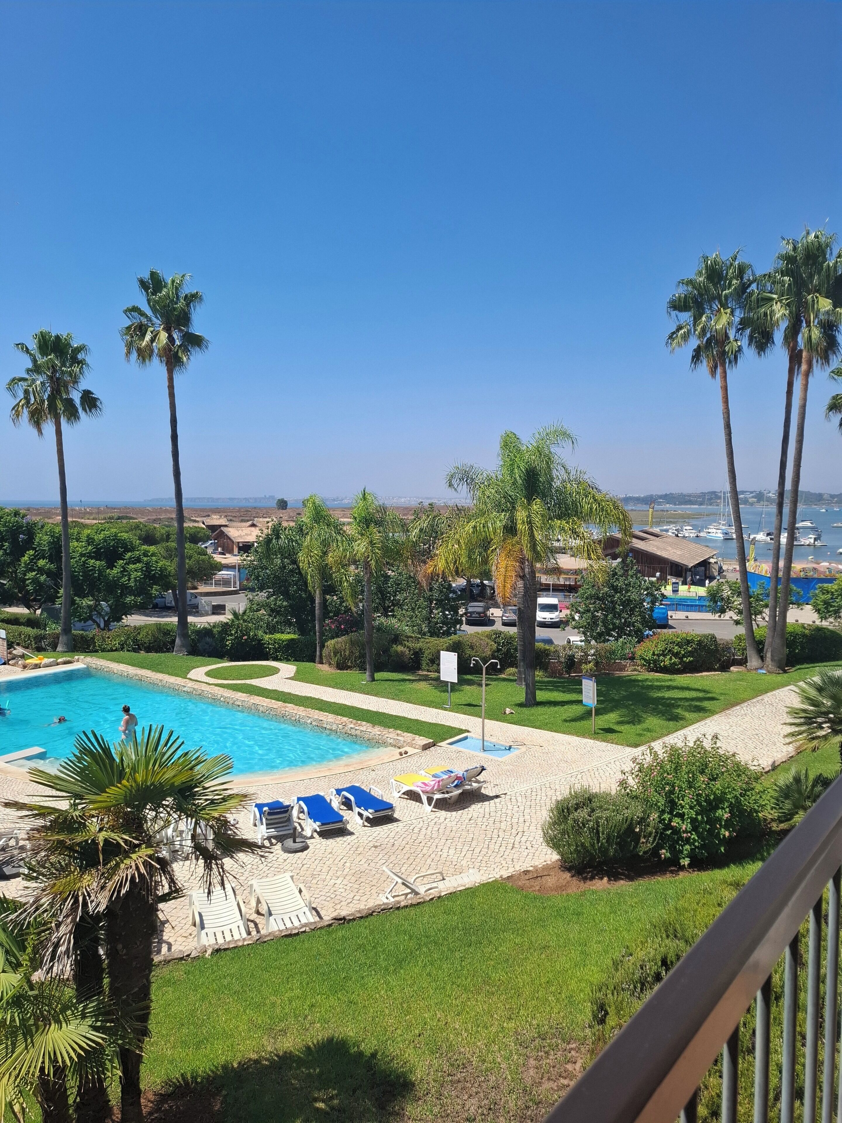 A pool area with lounge chairs, palm trees, and a view of the sea.