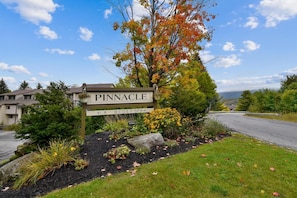Discover the Pinnacle, where a serene landscape and convenient amenities await.