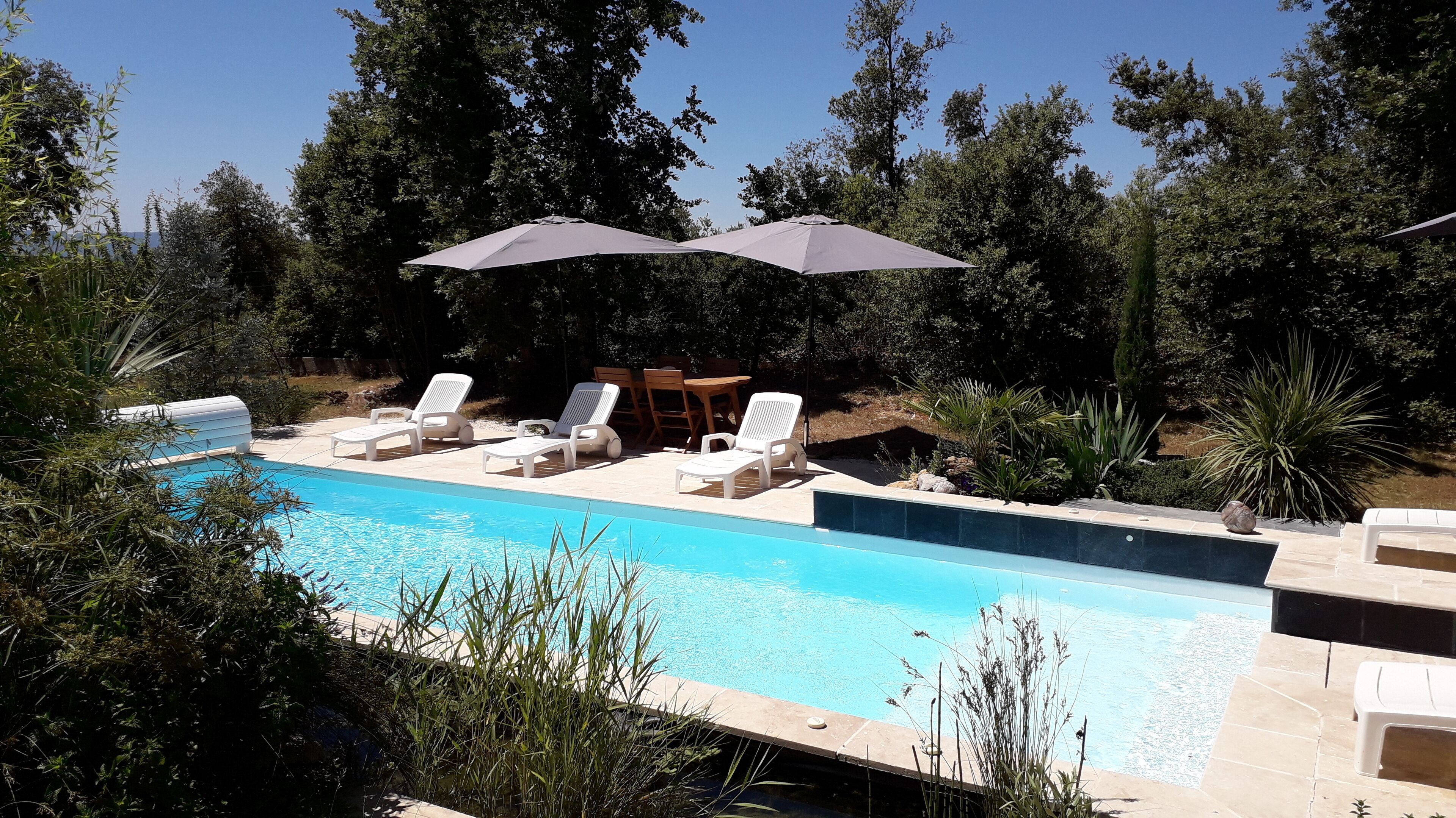 A swimming pool with white lounge chairs and a table, surrounded by trees and plants.