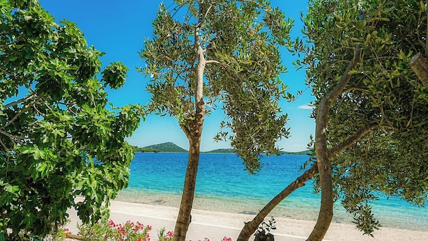 A beach with trees, a hot tub, and a clear blue sea. - BUQEZ ECO RESORT - Villa 81 - direct by beach (Drage)