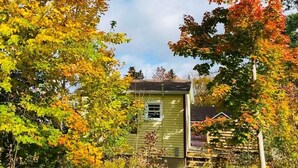 Ein kleines, eingeschossiges Haus mit grüner Fassade, umgeben von Bäumen mit Herbstlaub.