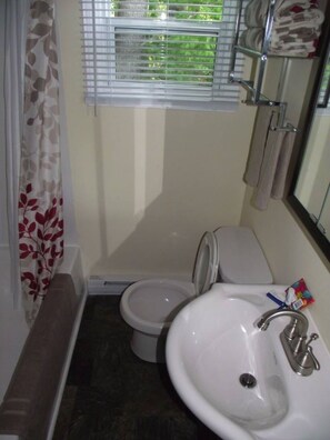Hair dryer, towels, shampoo