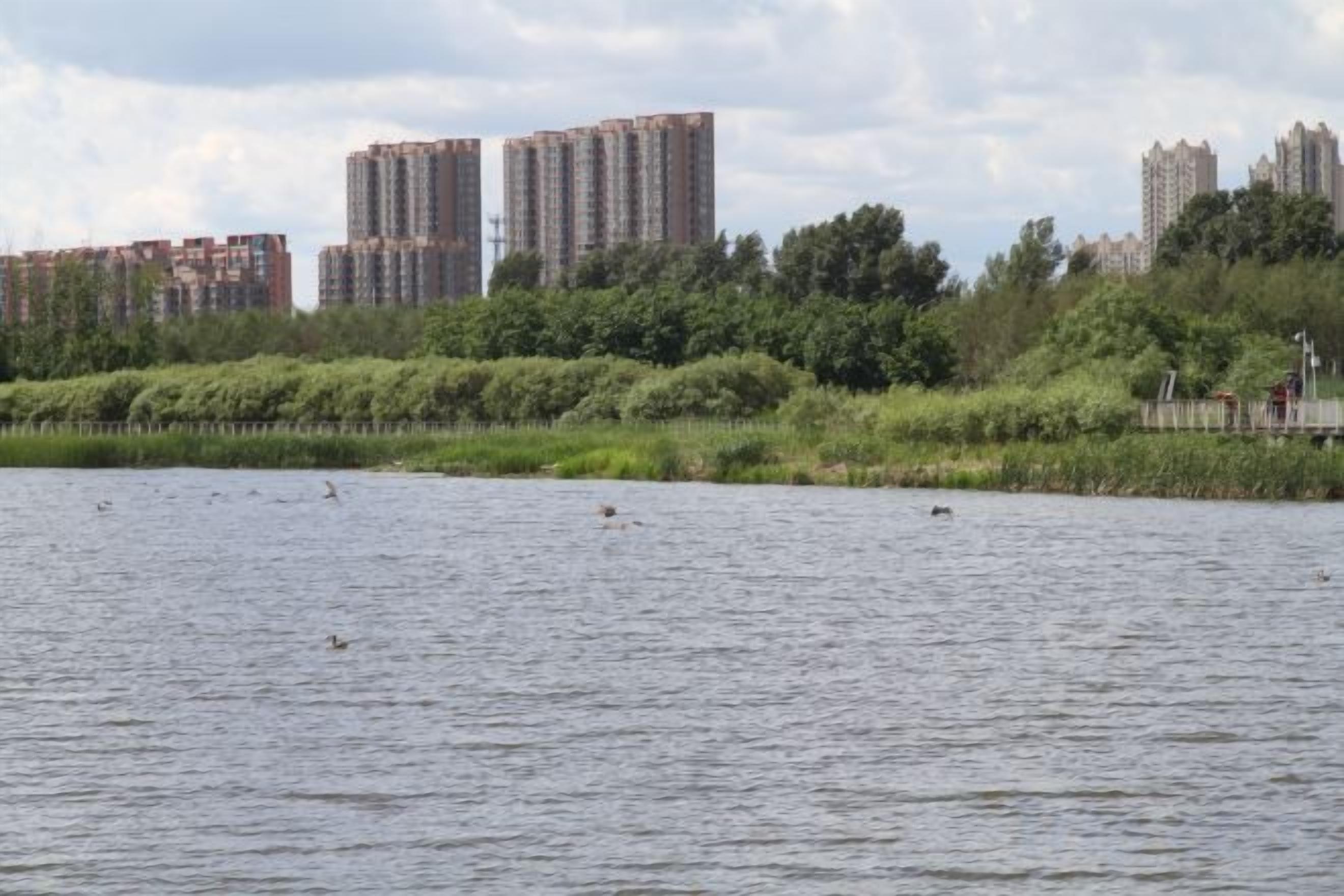 Une étendue d’eau avec des bâtiments en arrière-plan.