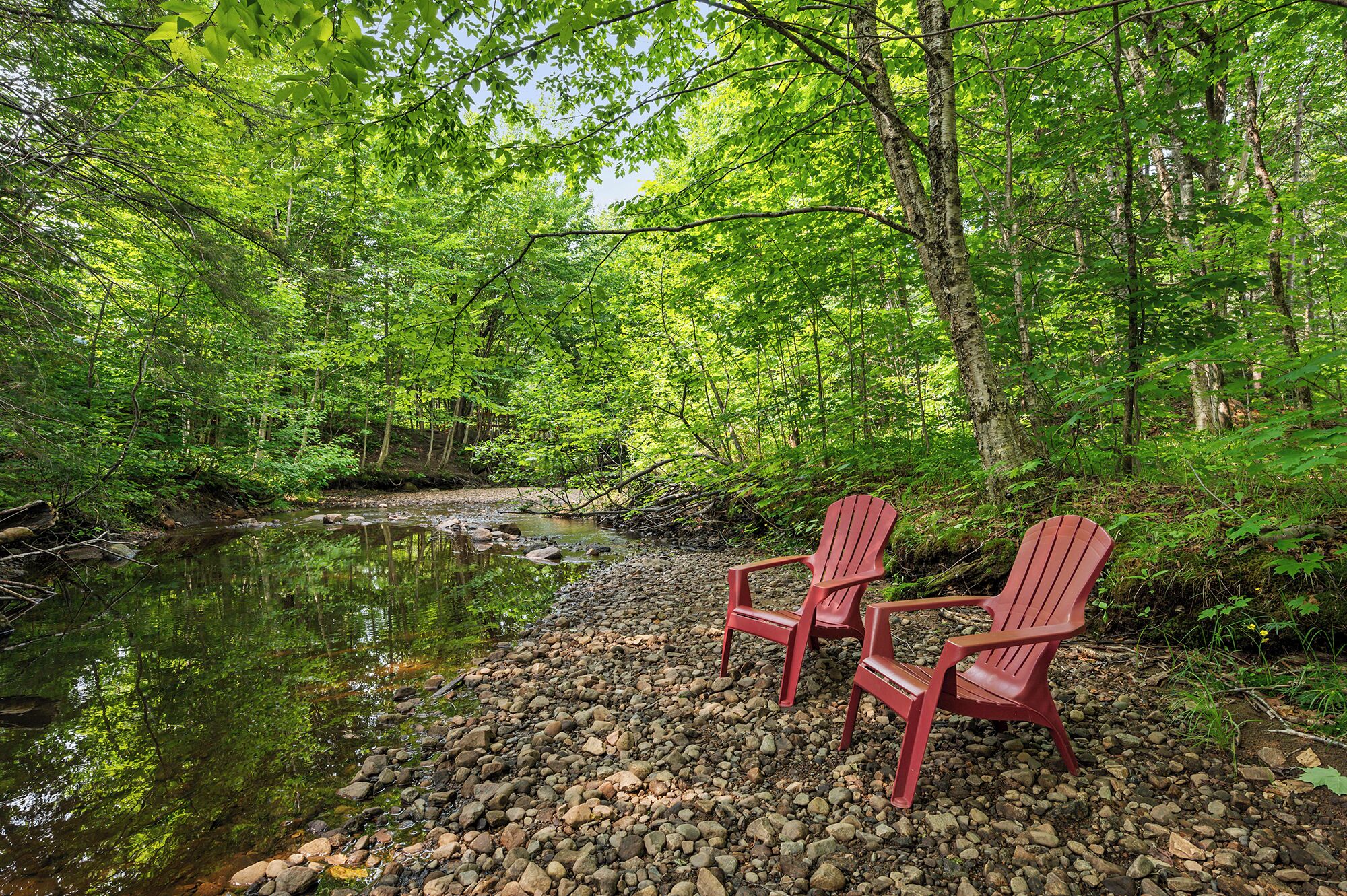 Two Adirondack chairs on a rocky riverbank surrounded by dense green forest.
