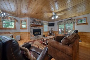 TV, fireplace, DVD player, books