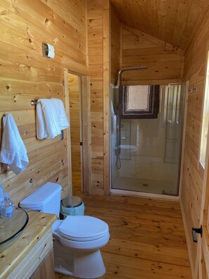 Shower, hair dryer, towels, shampoo