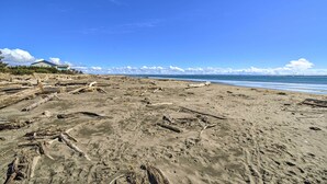 Een strand met drijfhout en een huis op de achtergrond.