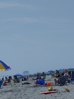 Beach nearby - Great ventnor shore house (Ventnor City)