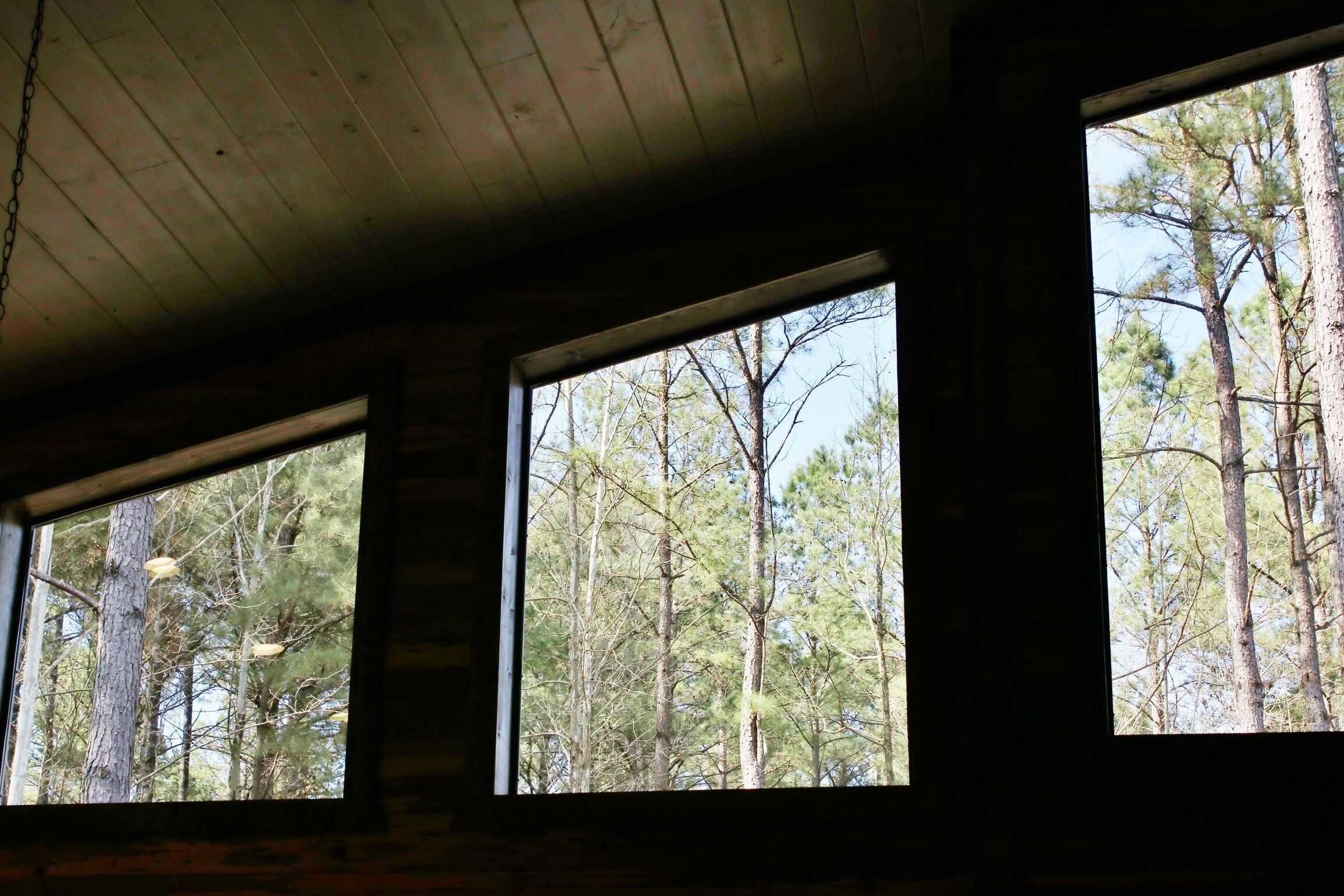 A cabin with three windows offering views of a forest.