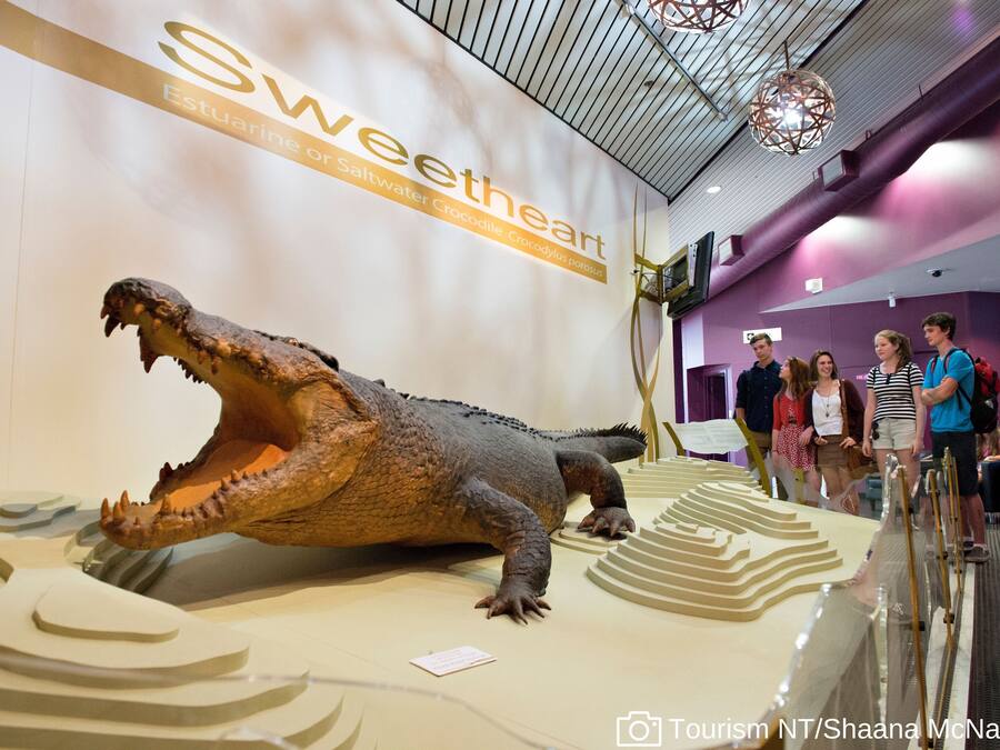 A large crocodile exhibit with a sign reading "Sweetheart" and "Estuarine or Saltwater Crocodile."
