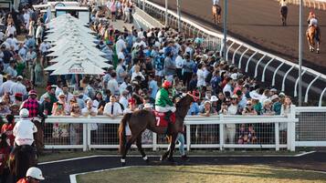 A horse race event with a crowd of spectators and jockeys on horses.