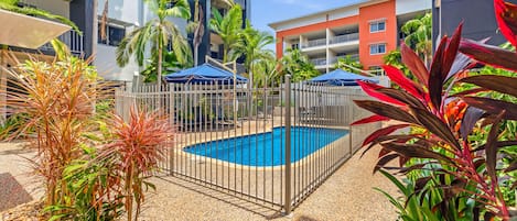 A swimming pool surrounded by a fence, with palm trees and tropical plants nearby.