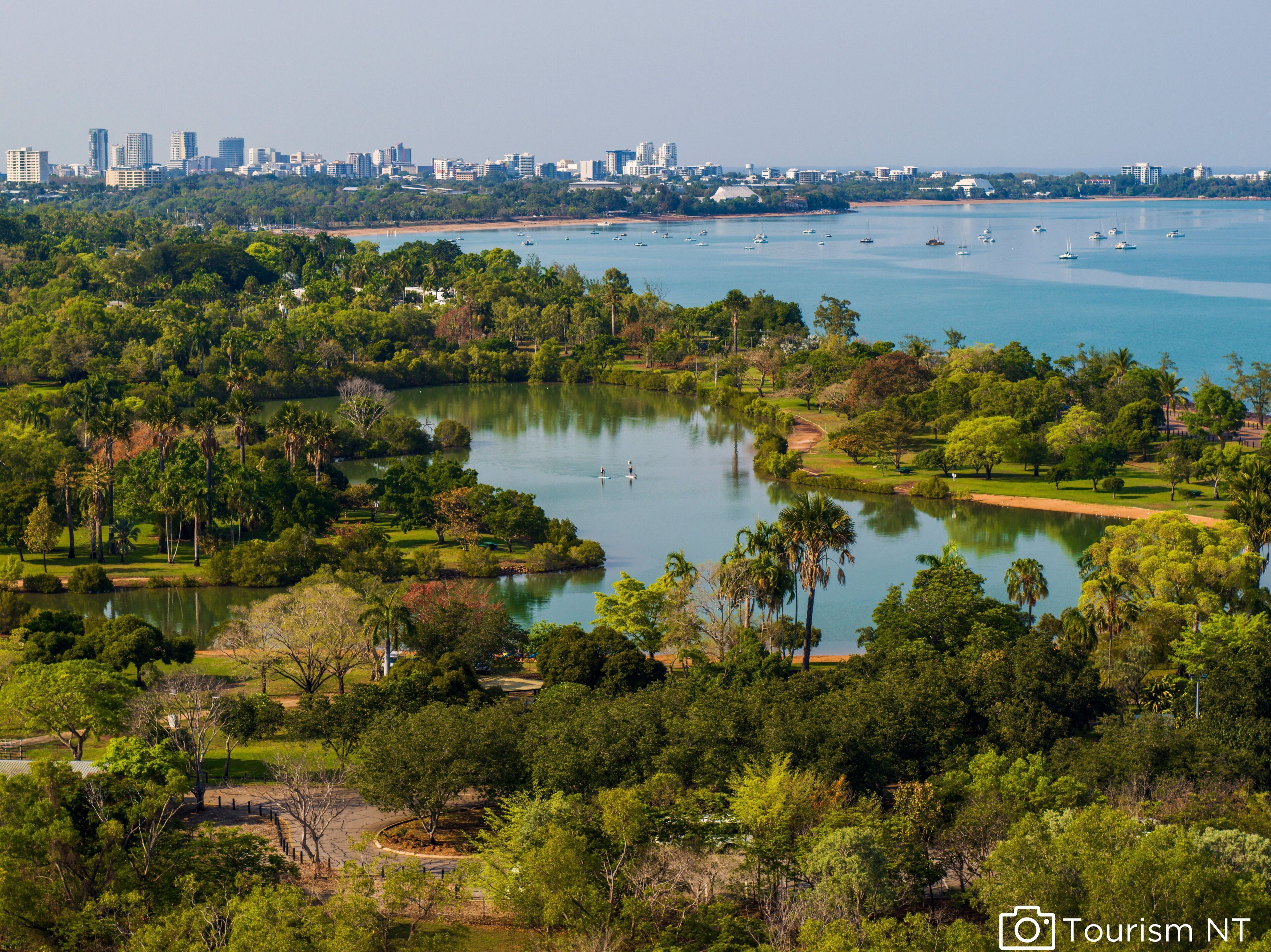 A park with a lake, surrounded by dense greenery and a city skyline in the background.