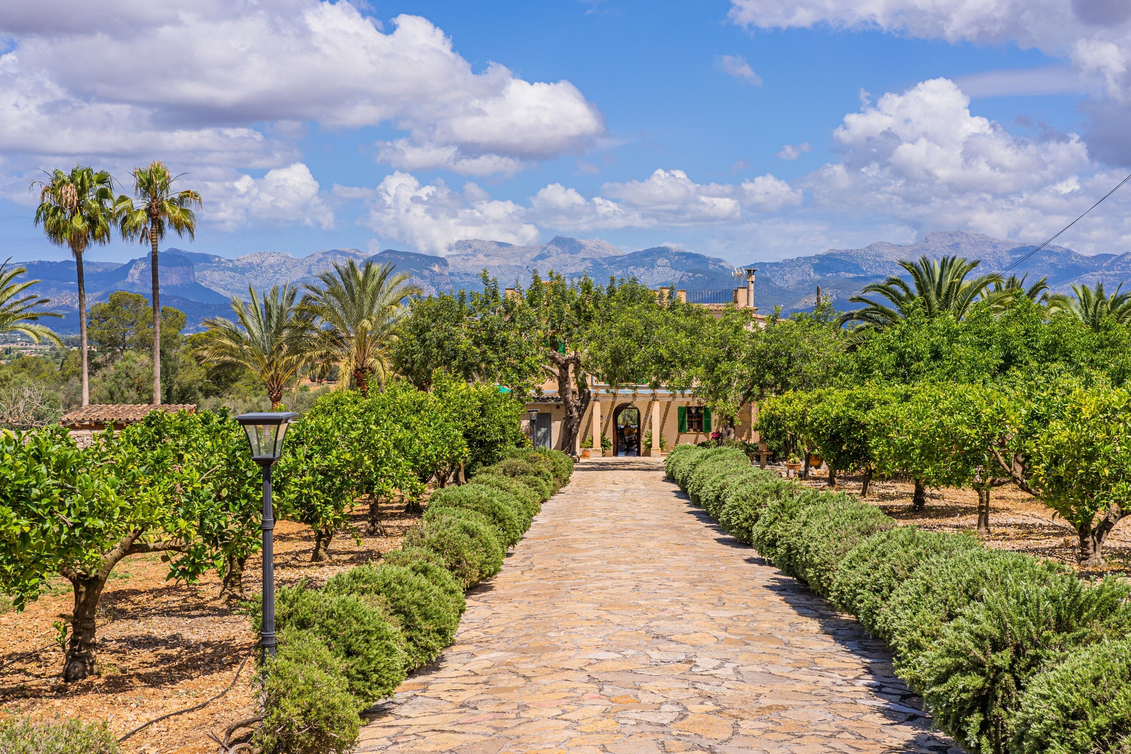 A vineyard pathway leading to a building with a tiled roof, surrounded by lush greenery and mountains in the background.