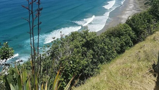 A coastal landscape with a clear view of the ocean, a sandy beach, and a grassy hillside. - Walking distance to cafes and restaurants (Mangawhai)