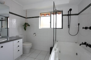 Combined shower/bathtub, hair dryer, toilet paper