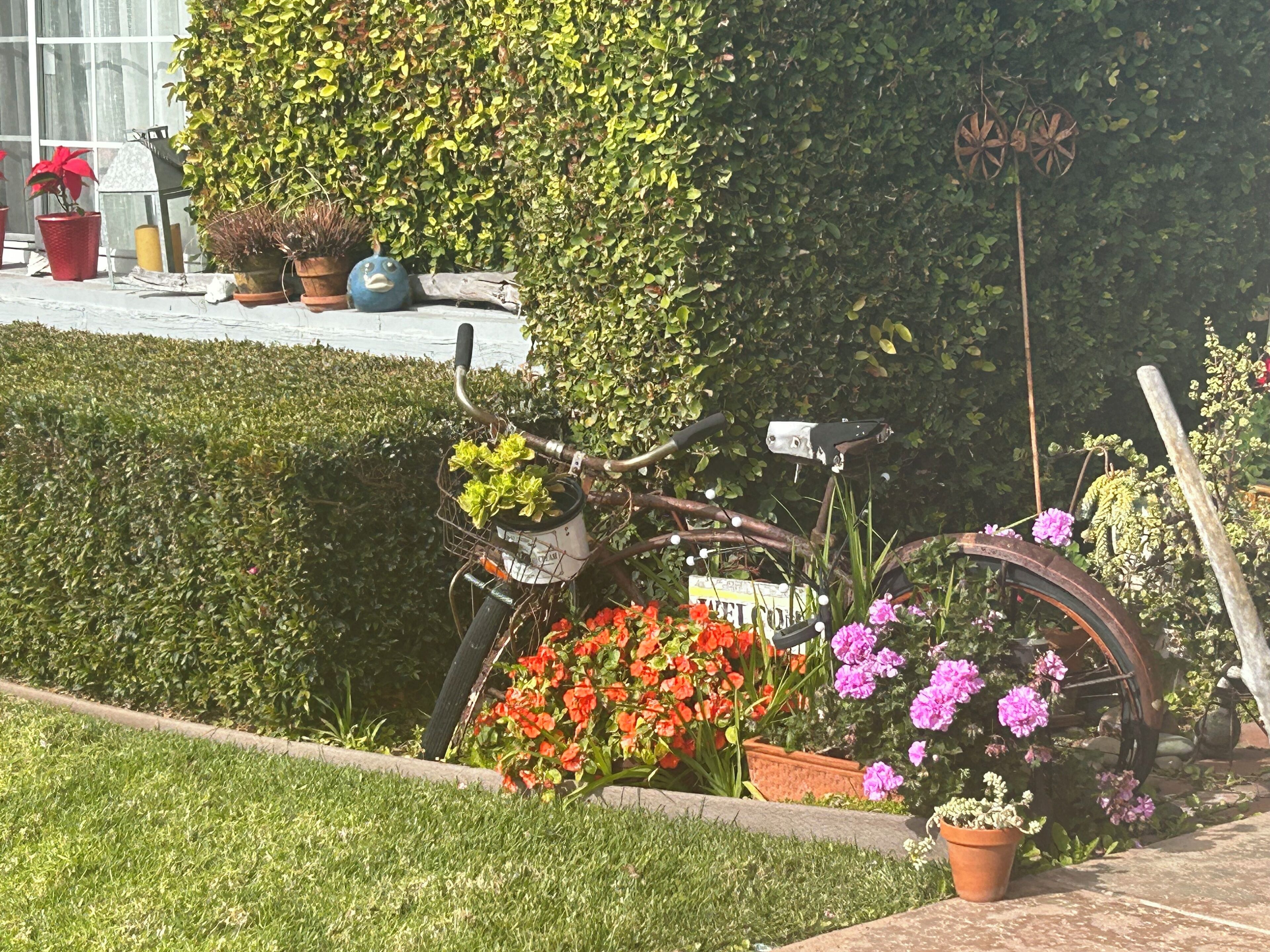 Terrain de l’hébergement 