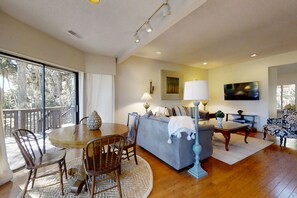 电视、壁炉、DVD 播放器、书