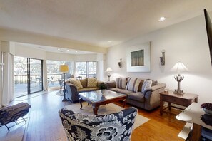 电视、壁炉、DVD 播放器、书