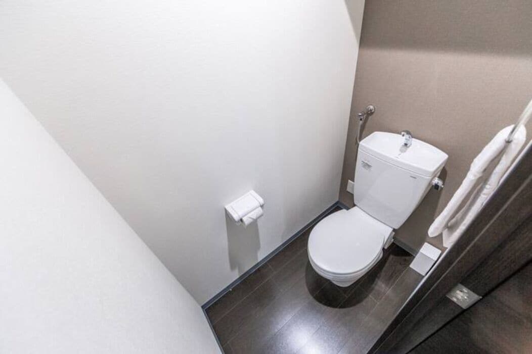 Un baño pequeño y moderno con inodoro blanco, un perchero y un dispensador de papel higiénico.