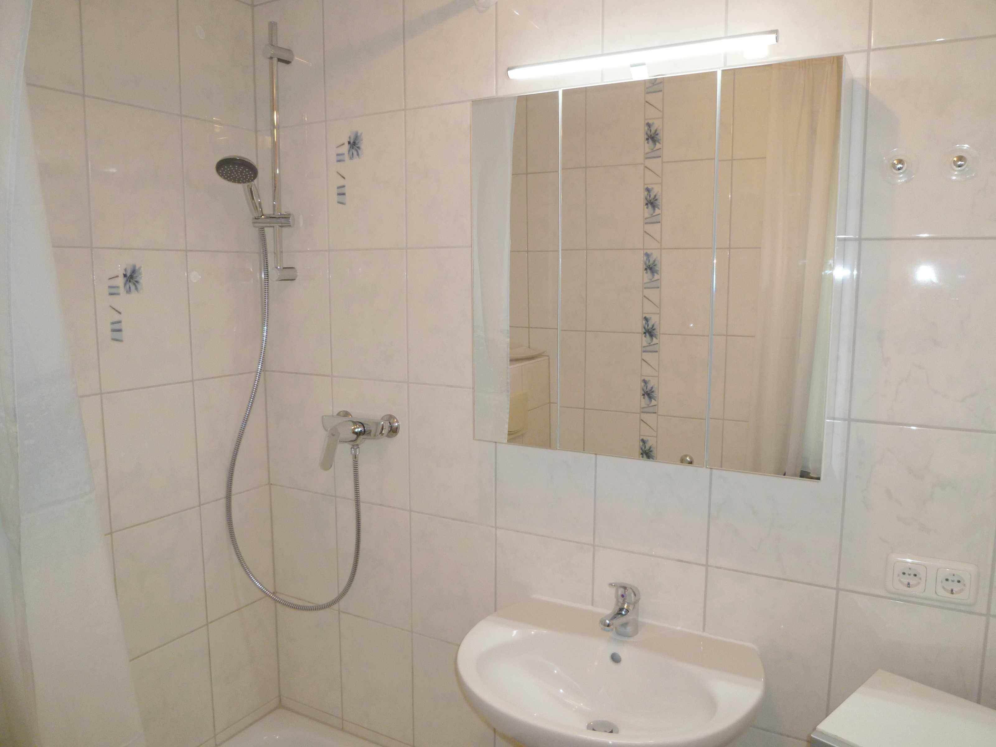Shower, hair dryer
