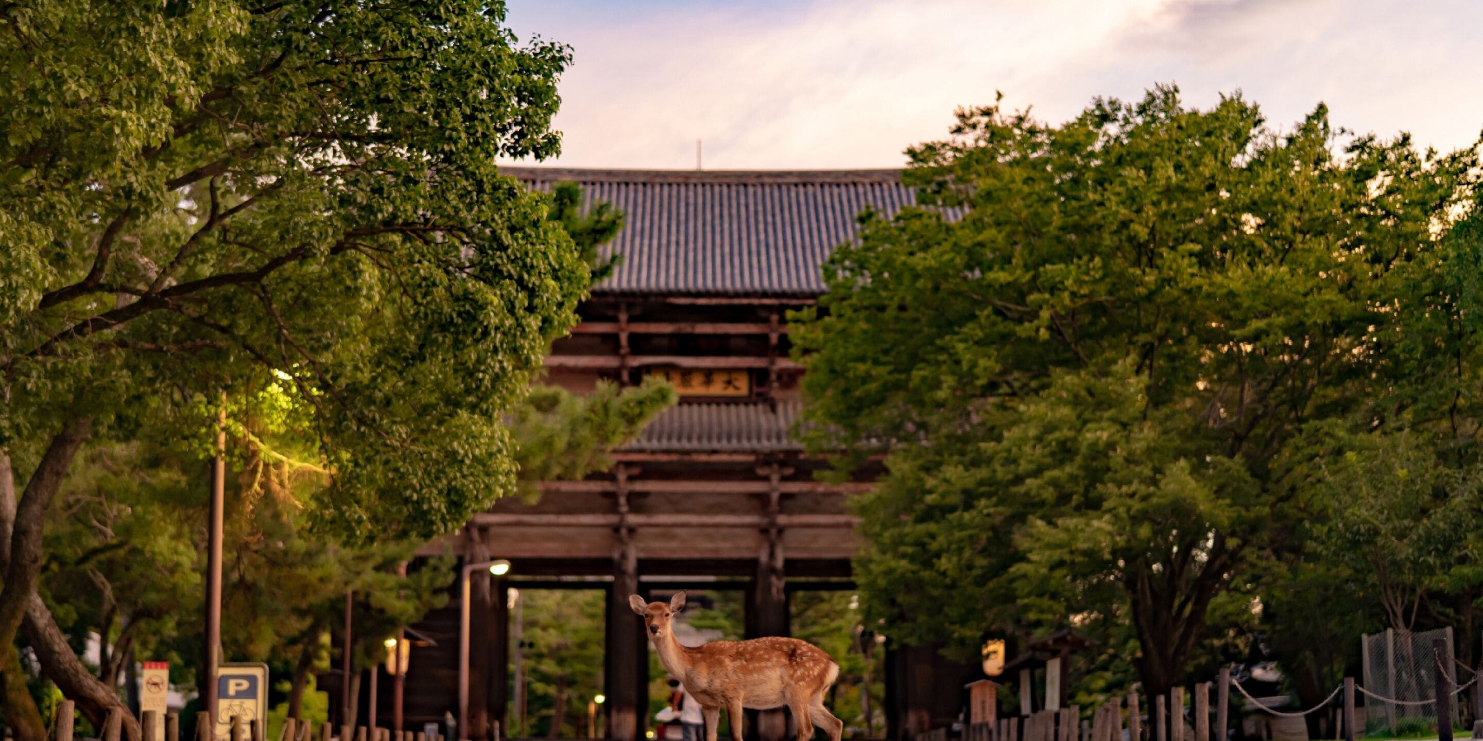 A traditional Japanese building with a wooden structure and a deer in the foreground.