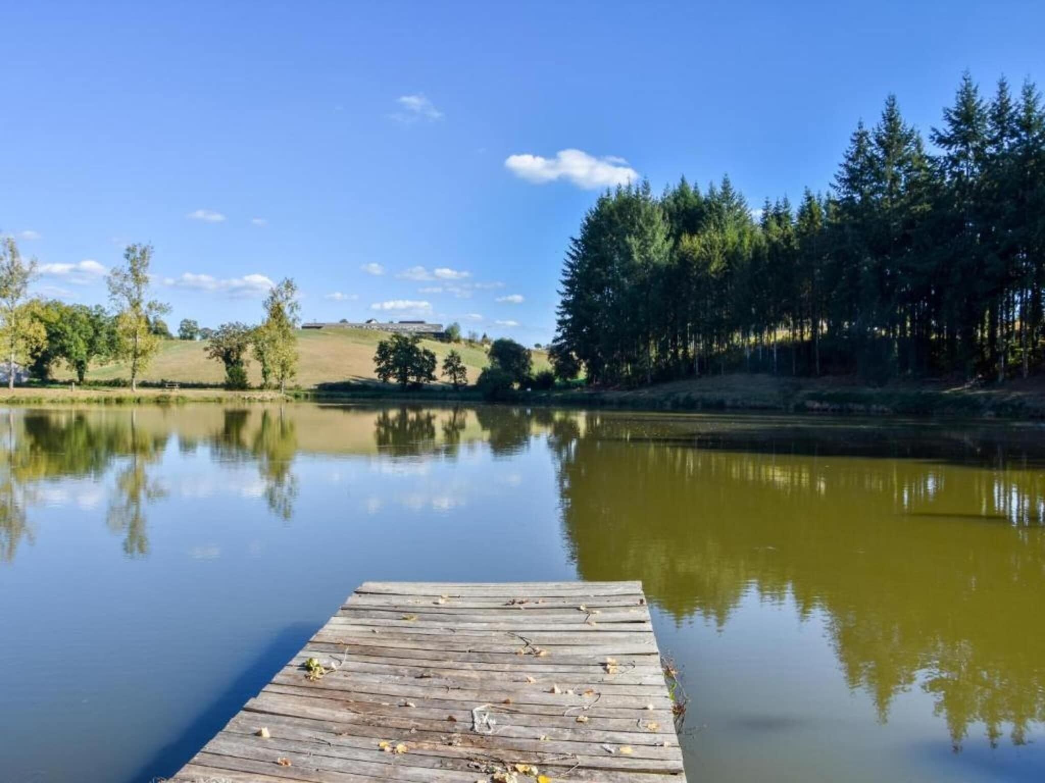 Eine Holzstege führt in einen stillen See, umgeben von Bäumen und einem wolkenlosen Himmel.