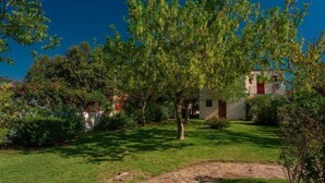 A stone pathway leading to a building with a red door, surrounded by lush greenery and trees. - Holiday resort, Budoni (Budoni)