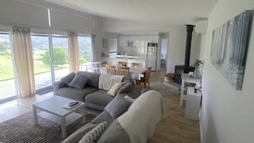 Smart TV, chimenea, reproductor de DVD y libros