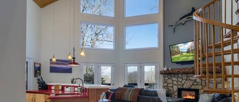 Televisión, chimenea y libros