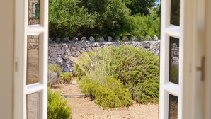 A window with an open view of a garden with a stone wall and greenery.