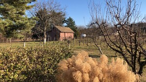 Un paysage rural avec une grange rouge, un vignoble clôturé et une variété d’arbres et d’arbustes.