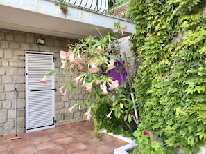 Exterior detail - Villa in Bois des Anglais, 10 minutes from the beach (Ajaccio)