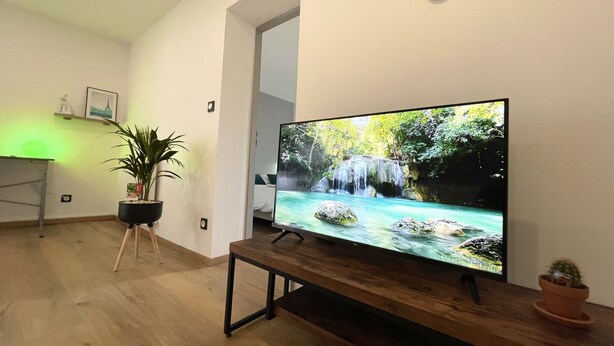 Una sala de estar moderna con un televisor de pantalla plana sobre un soporte de madera, una planta en maceta y una pequeña mesa.