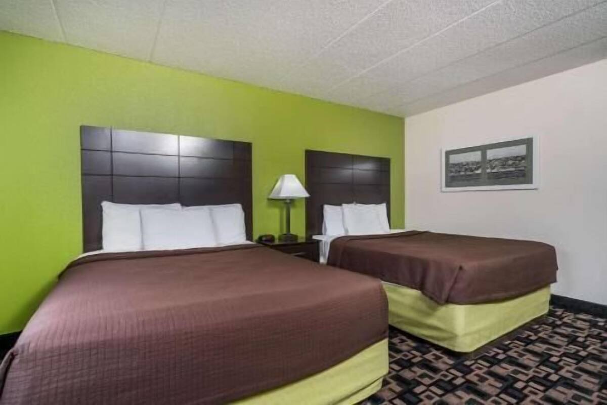 Ein Hotelzimmer mit zwei Betten, grünen Wänden, einem gemusterten Teppich und einem gerahmten Bild an der Wand.