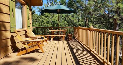Cabin nestled in the Pines near Lake Pactola! ATV trails! Mt Rushmore! WI-FI