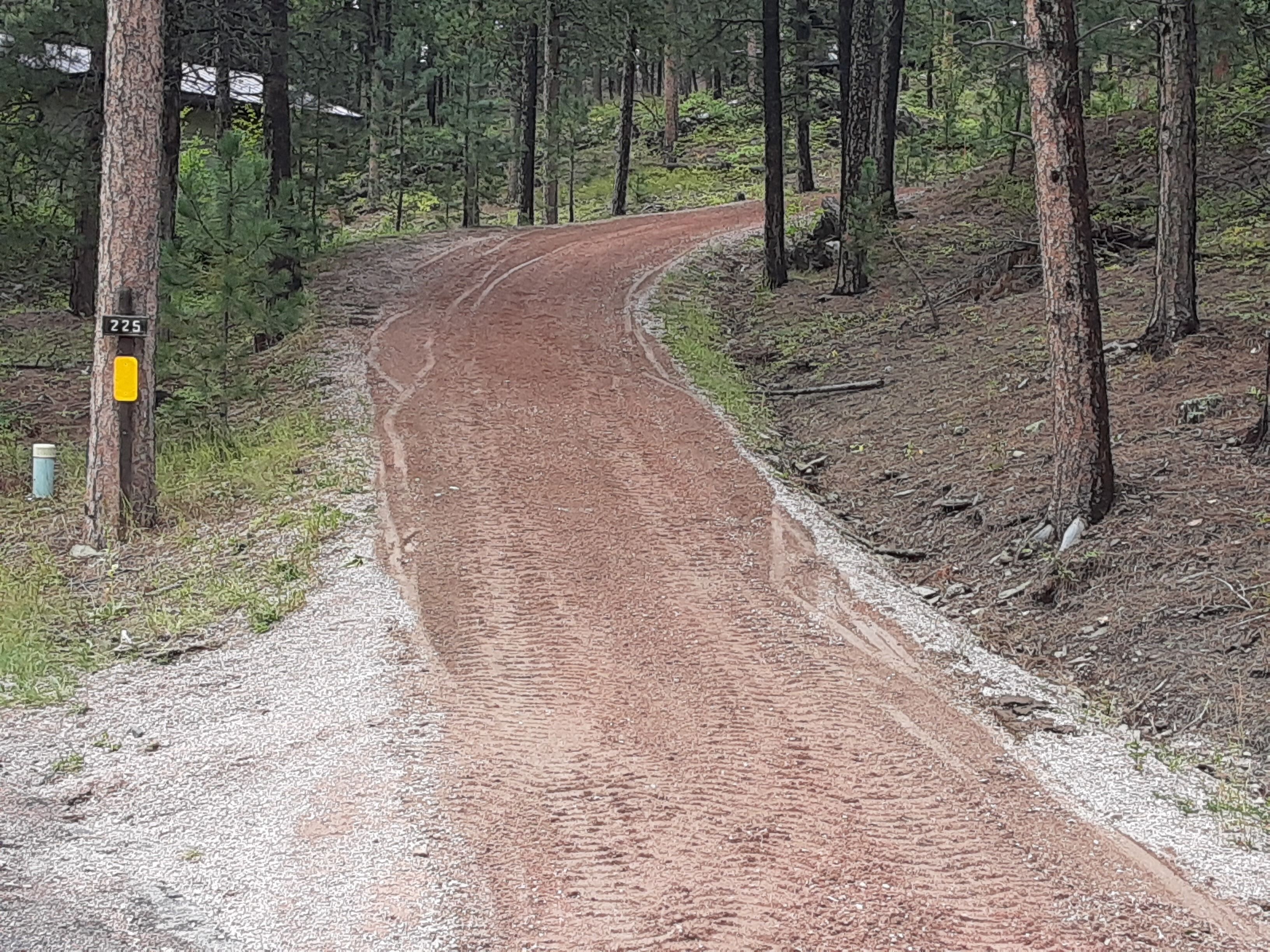 Un sendero de tierra serpenteando por un área boscosa con árboles a ambos lados.